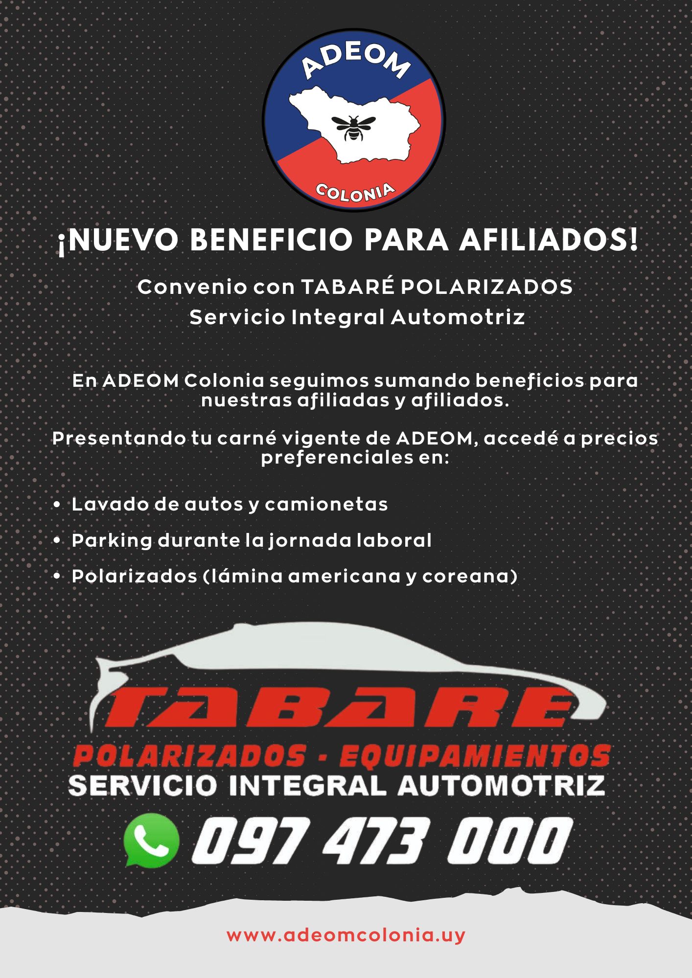 Tabaré Polarizados